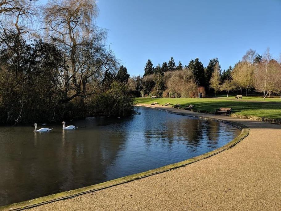 Wolsey Road, North Oxford Villa Luaran gambar